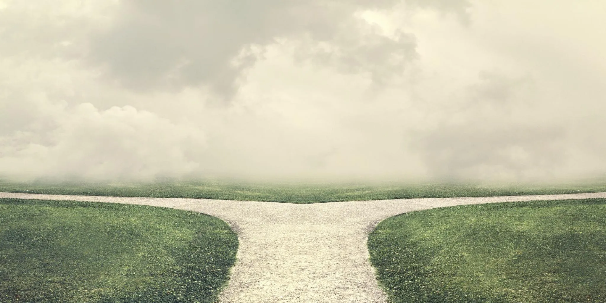 Better team decisions with AI